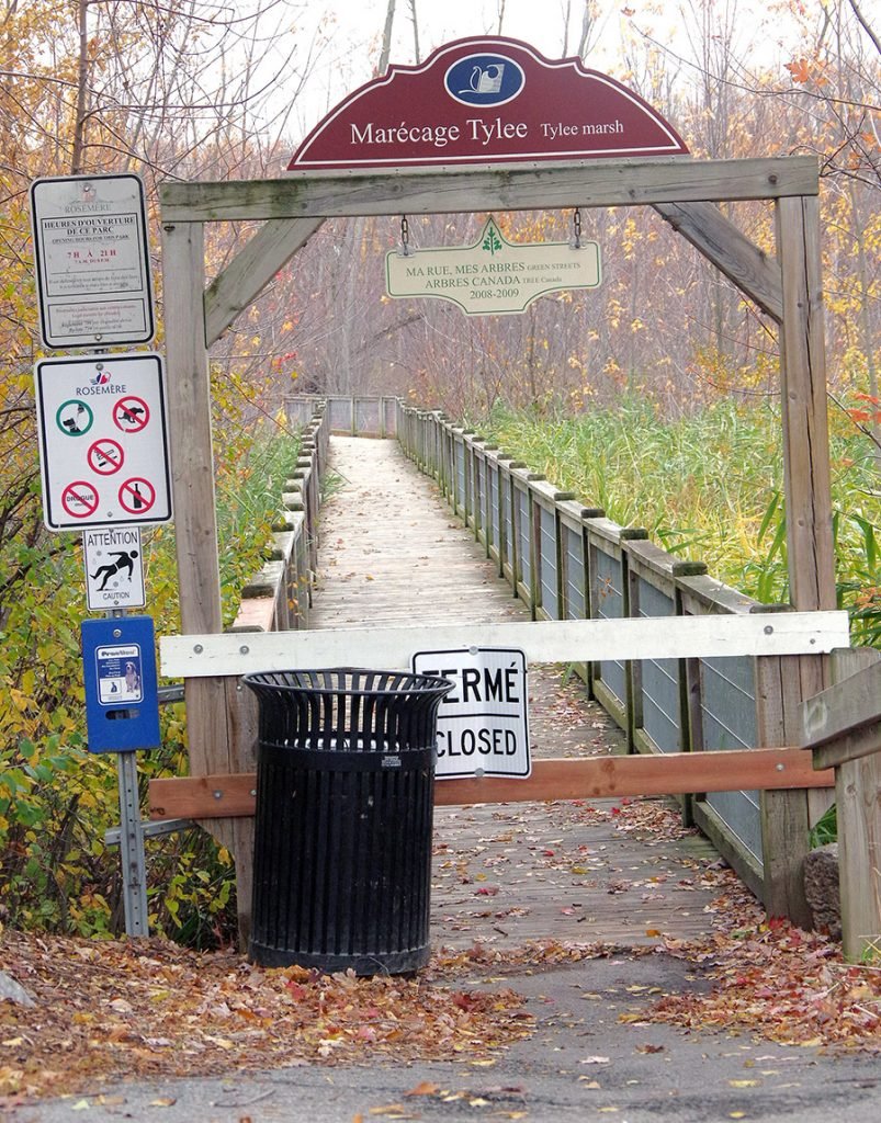 Town taking measures to save Tylee Marsh boardwalk
