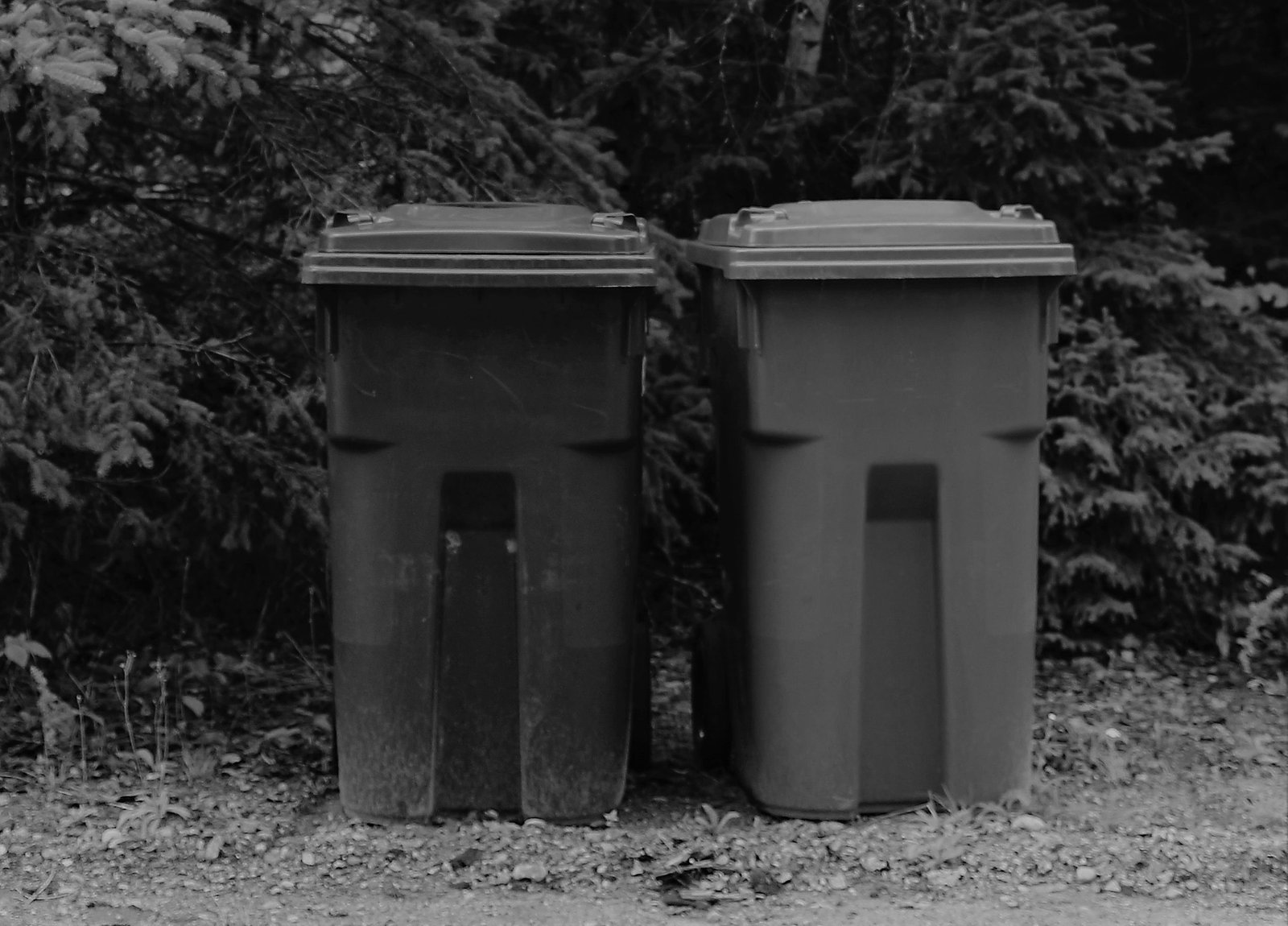 Replacement of the recycling bin the collection of old bins still in